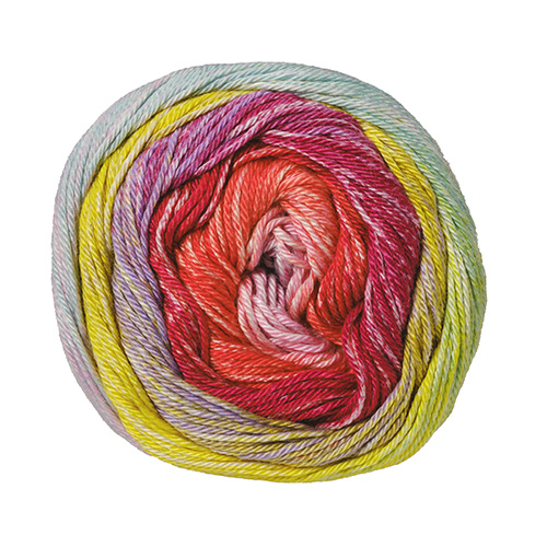 クアトロディグレイド