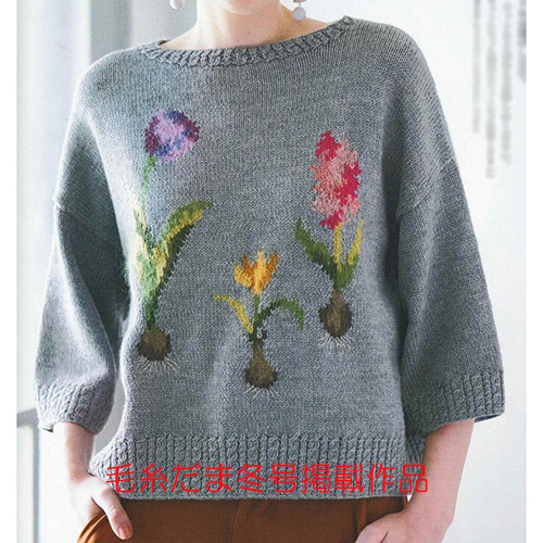 (東海）バルバスプランツプルオーバーのキット