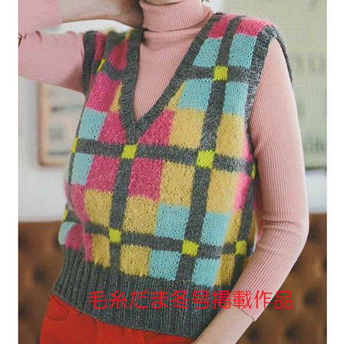 (東海）幾何チェックベストのキット