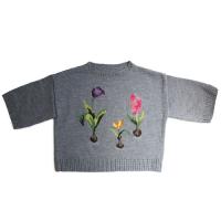 (東海）バルバスプランツプルオーバーのキット COL-24